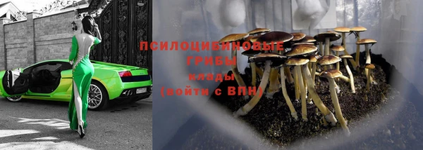 СК Алексин