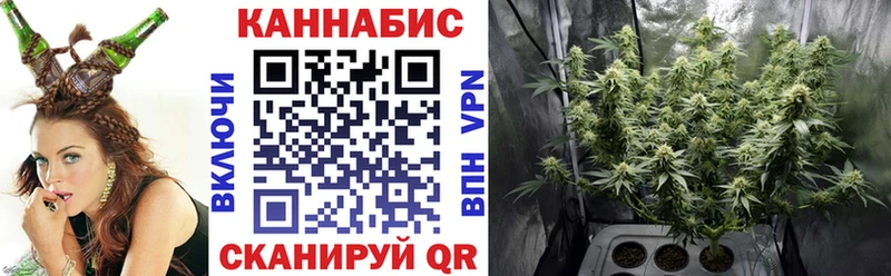 дарнет шоп  Нерехта  Марихуана Amnesia 